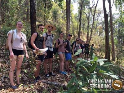 Wonderful 3-days/2-nights trekking | Chiang Mai Trekking | The best trekking in Chiang Mai with Piroon Nantaya